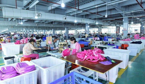 煙臺大龍開發(fā)區(qū) 軟件產(chǎn)品揚帆出海 打響全球品牌