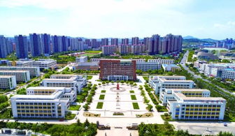 煙臺物聯網技術學習與軟件開發培訓全攻略